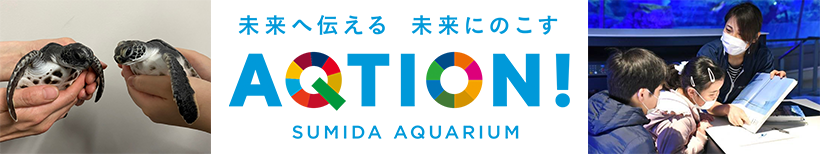 すみだ水族館 AQTION!サポーター フュディアルクリエーション