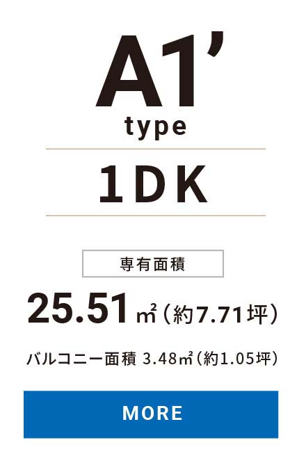 A1' type