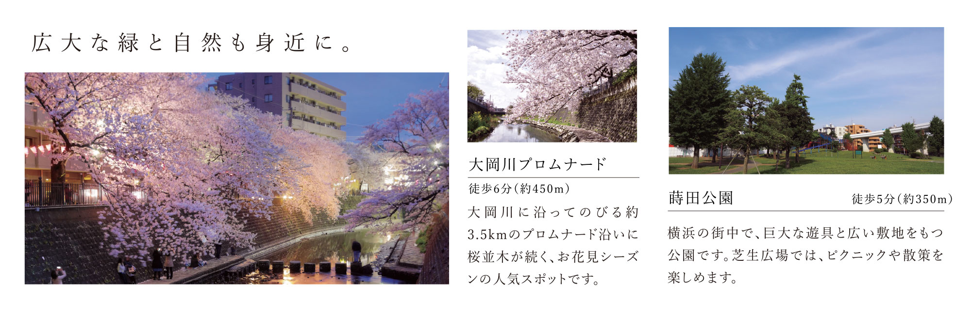 広大な緑と自然も身近に。大岡川プロムナード、蒔田公園