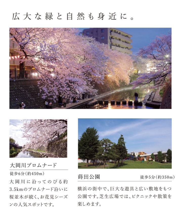 広大な緑と自然も身近に。大岡川プロムナード、蒔田公園