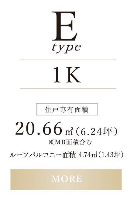 E type