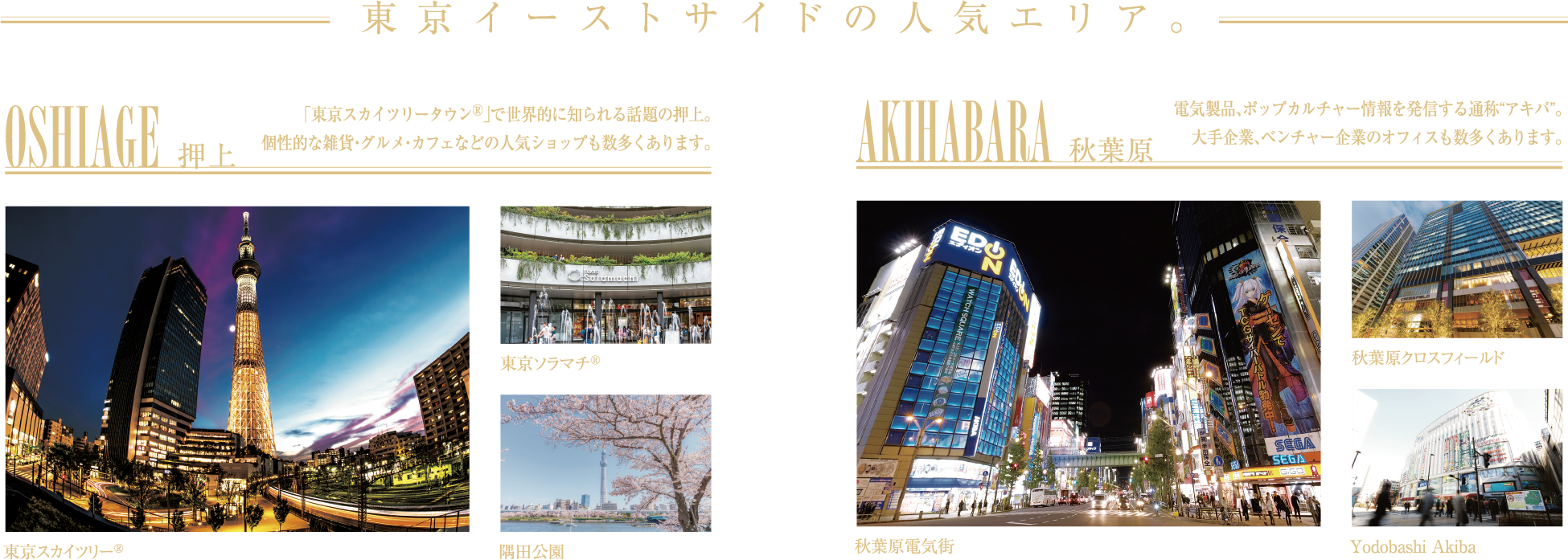 東京イーストサイドの人気エリア。押上、秋葉原