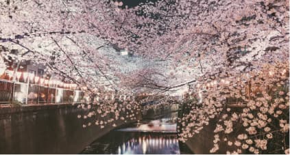 目黒 MEGURO