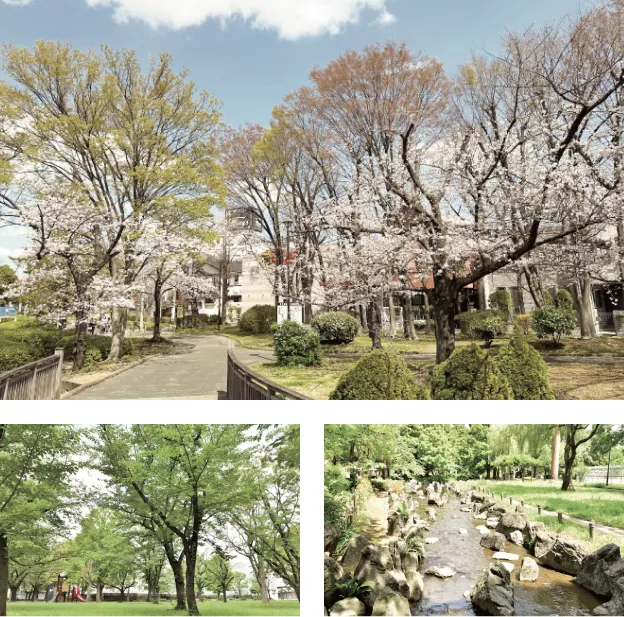 赤塚公園