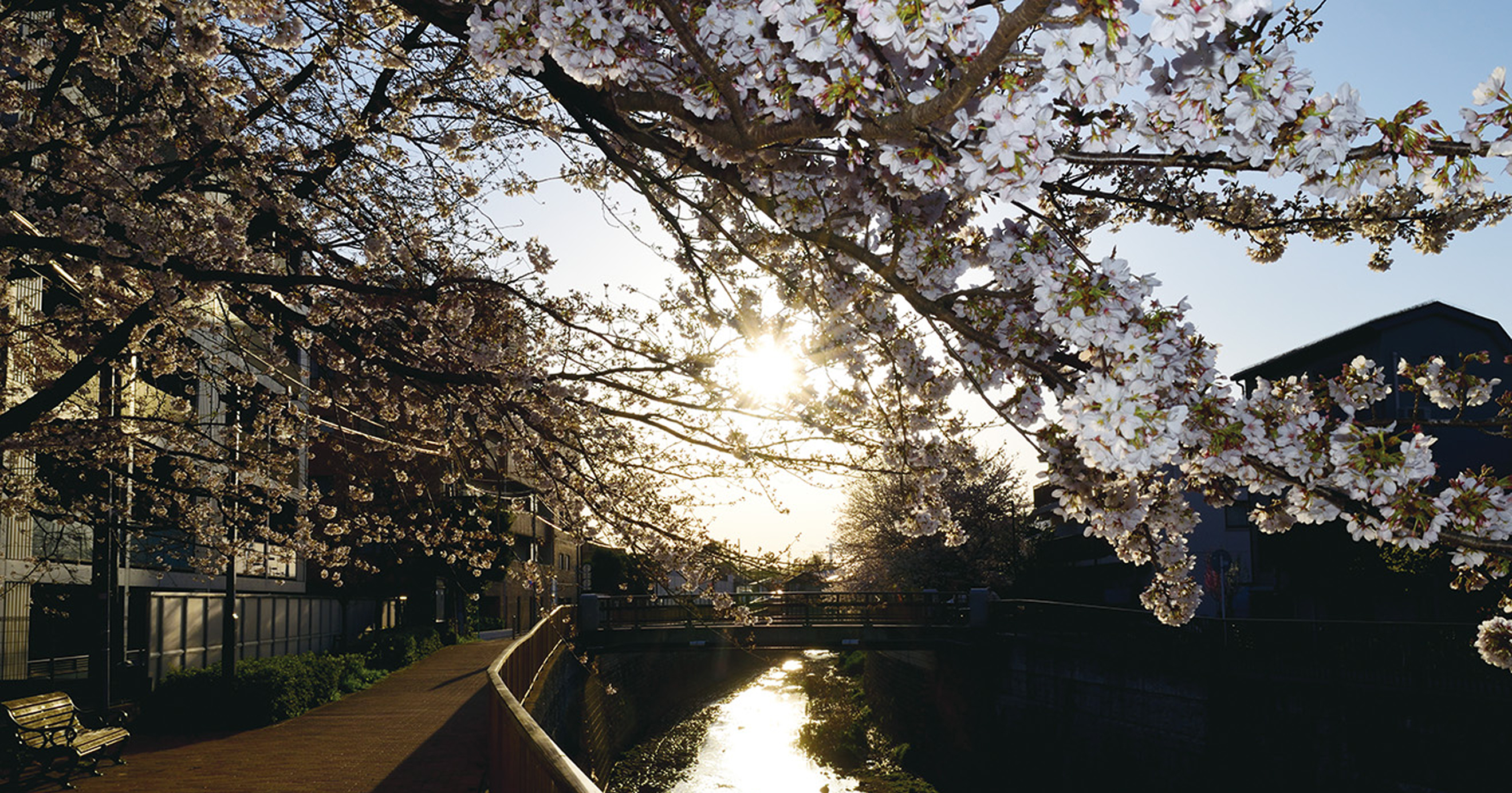 東京ソラマチの写真