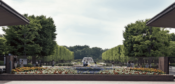 国営昭和記念公園