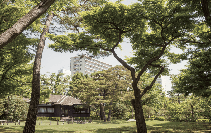 殿ヶ谷戸庭園